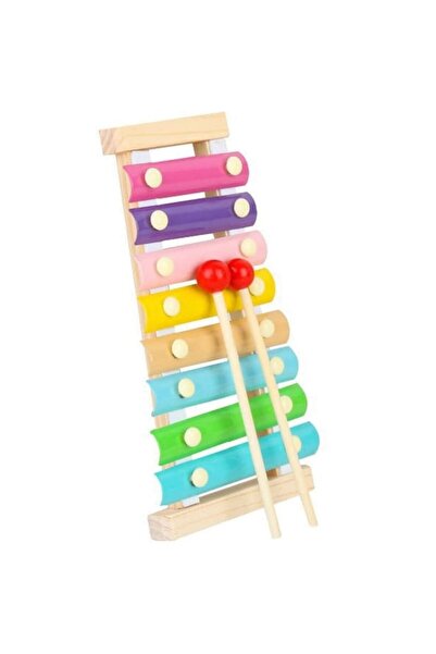 GOLD MARKET Xylophone, Wooden, 8 Musical Notes, 2 Percussion Sticks, Ages 4-6, Pastel