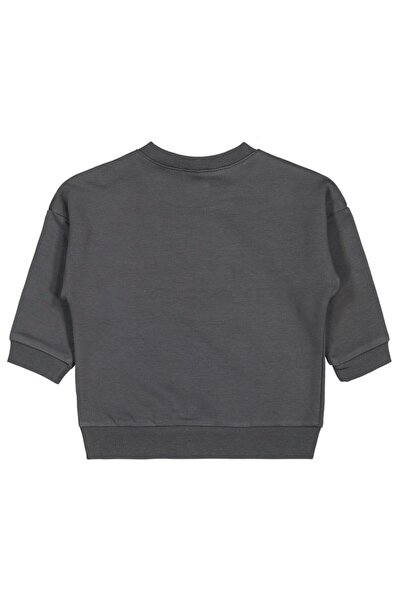 Civil Baby Teddy Baskılı 6-18 Ay Sweatshirt - Gri 18-24 Ay