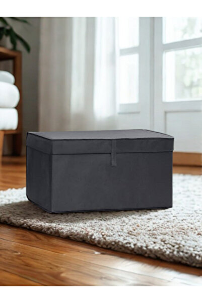 NiHaLCo 2 Pieces Maxi Box Storage, Storage Organizer Box, Storage Box, Anthracite Gray