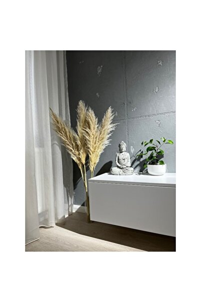 House & Garden Tall pampas grass, 5 pcs, dried and naturally preserved, 120 cm, Beige