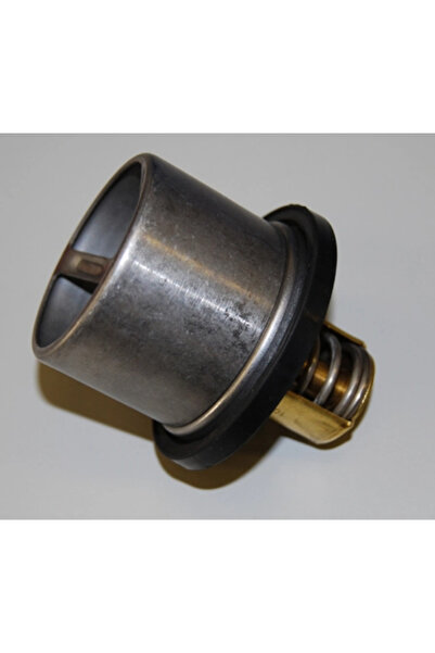 BorgWarner (Wahler) Termostat Lichid Racire Volvo F10/F12/FL10