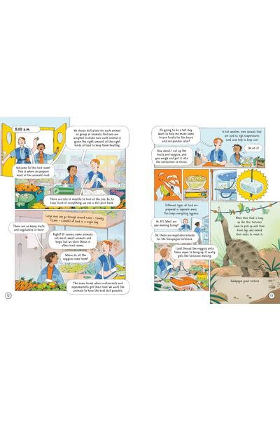 Usborne 24 Hours in a Zoo