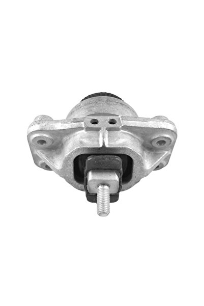 TEDGUM Suport Motor Fata Dreapta Land Rover Range Rover 4