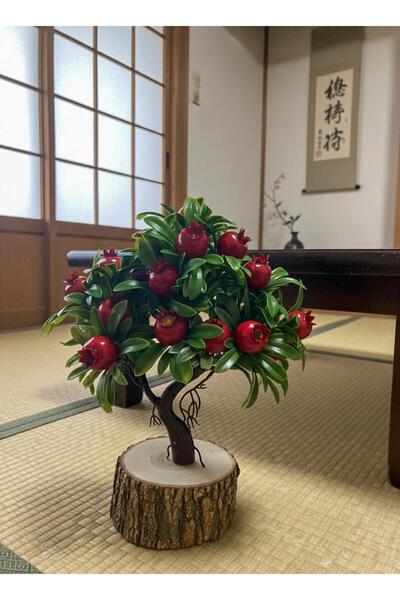 Lineva Doğal Kütük Üstü Nar Ağacı