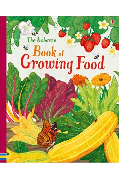 Usborne Publishing The Usborne Book of Growing Food (Usborne Gardening Books)