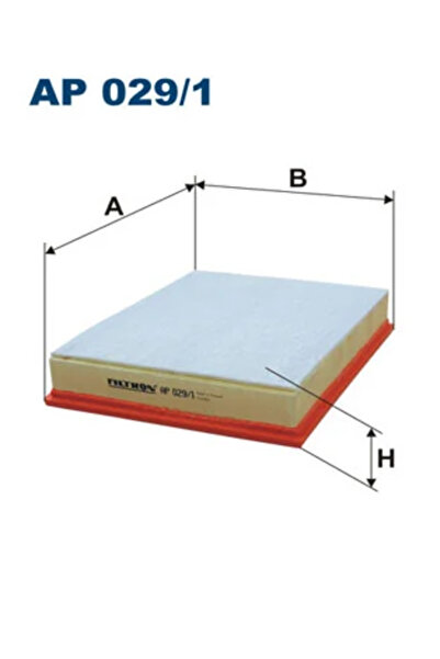 Filtron Filtru Aer Bmw X6 (e71, E72) 2008-2010 Diesel