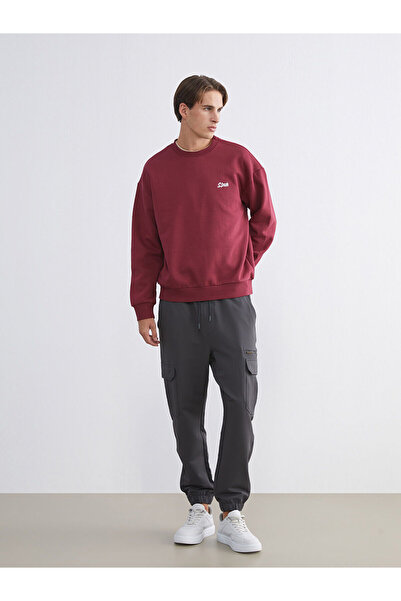 LC Waikiki Ανδρικό φούτερ με κέντημα Vizyon New Season Crew Neck