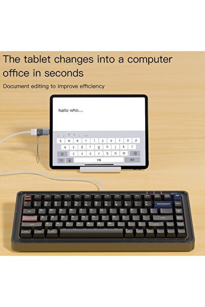 Other Lightning to USB-C Adapter (iOS OTG) - Connect Microphones, USB Drives, Card Readers, Mouse/Keyboard