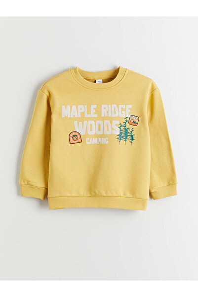 LC Waikiki Ανδρικό παχύ φούτερ Peak New Season με τύπωμα