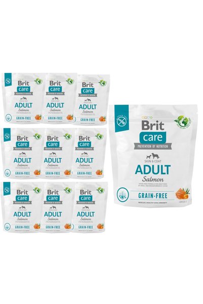Other Brit Care Grain-Free Adult Somon 10x 1 kg