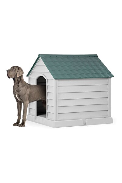 Store XXL Büyük Boy Plastik Köpek Kulübesi Büyük Irk