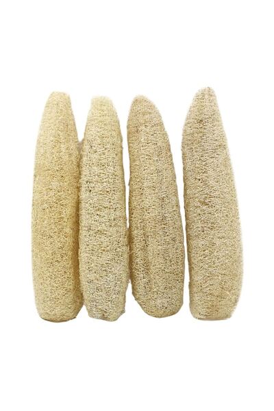 Lavanta Şarköy Lif kabağı Tohumu