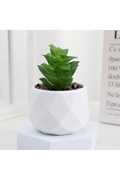 Choice د نباتات بونساي اصطناعية عصارية محاكاة نباتات بونساي دائمة الخضرة صغير...