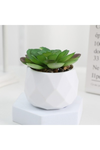 Choice G نباتات بونساي اصطناعية عصارية محاكاة نباتات بونساي دائمة الخضرة صغير...