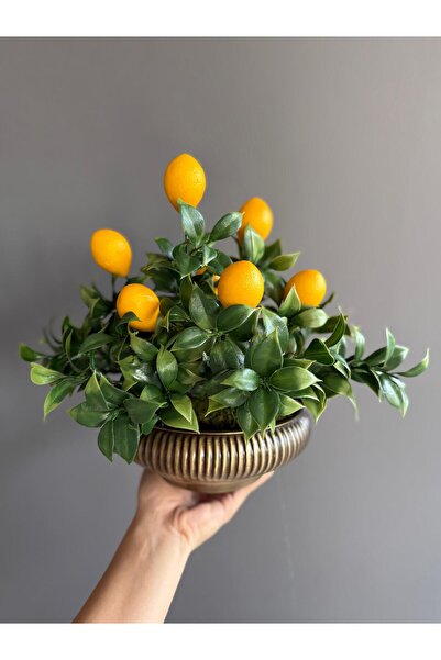 Luvienn Artificial Lemon Tree with Antique Gold Metal Vase -Artificial Flower Table Decor