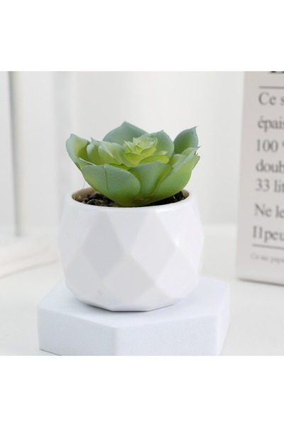 Choice F نباتات بونساي اصطناعية عصارية محاكاة نباتات بونساي دائمة الخضرة صغير...