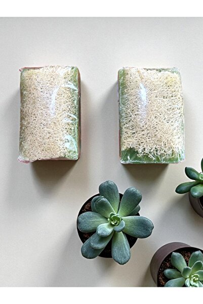 Tpm Natural Handmade Pumpkin Fiber Aloevera Soap 2 Pieces 280 Grams