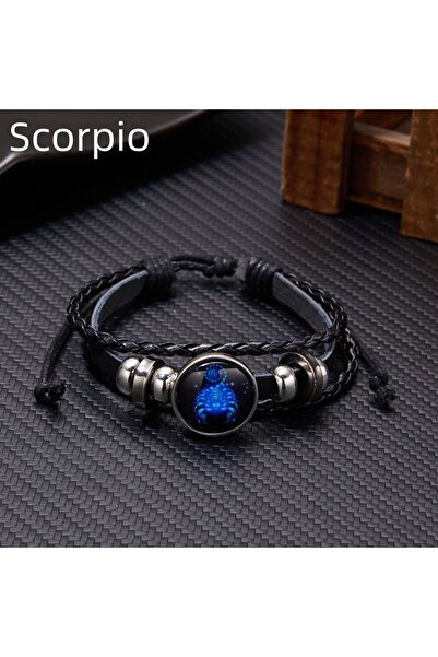 Choice BR22Y0338-10 أساور مضيئة بعلامات الأبراج الـ 12 للرجال والنساء بتصميم ...