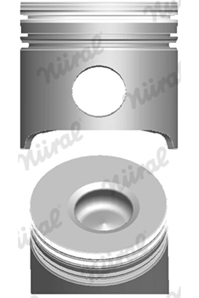 NÜRAL Piston Fiat Ducato Bus/Ducato Body/Ducato Platform/Chassis Fuqi Wunderf...