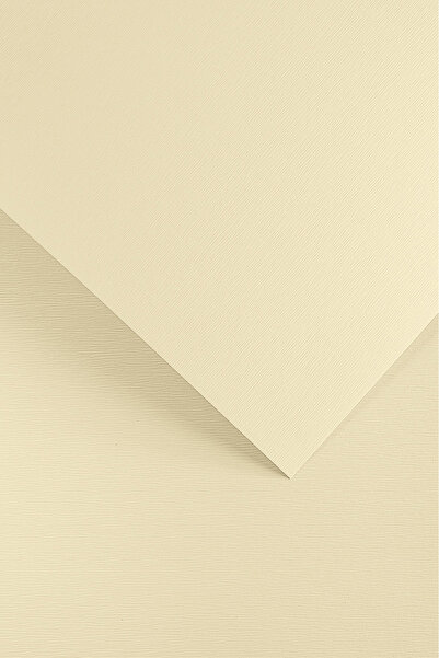 Other Hârtie decorativă cu scoarță /20 buc/ 230 g Galeria Papieru 201502 CREM