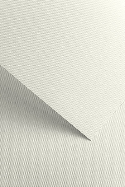 Other Hârtie decorativă Florida albă /20 buc/ 220g '200301' Galeria Papieru