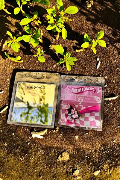 BİRBEYSTORE Mini Buket Solmaz Çiçek Arkası Aynalı Model Pembe Sevgiliye Anlam...