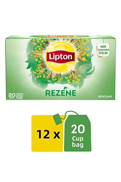 Lipton 20 قطعة من شاي الشمر - × 2 جرام، مجموعة من 12 قطعة