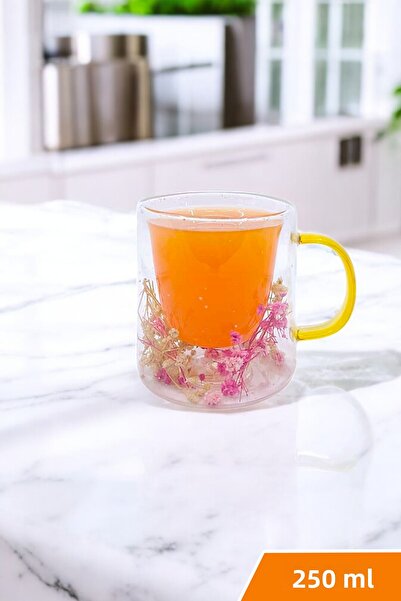 Kitchen Way Cană din sticlă borosilicată cu perete dublu, 250 ml, cu figurină...