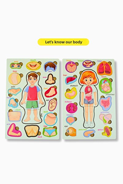 Eavrasya Wooden English Human Body Puzzle Set - Organs Skeleton System Girls Boys Children Anatomy Toy