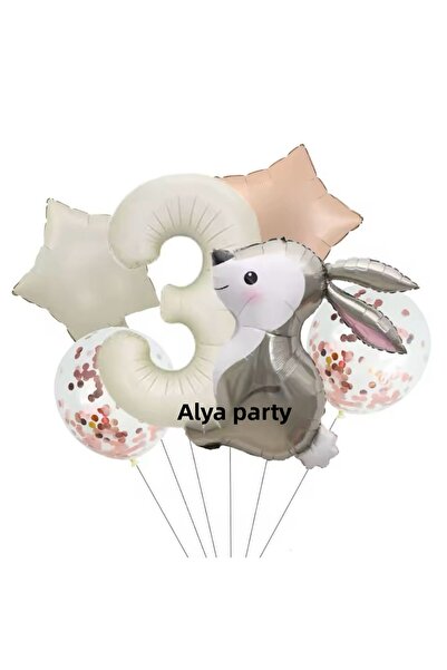 ALYA Party Rabbit Themed Birthday Set with Number and Star Foil Balloons