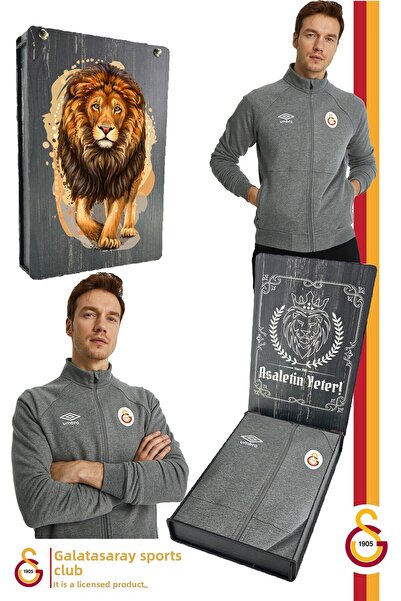 Galatasaray Original Licensed Gray Sweatshirt - Stand Collar Zippered Wooden Box