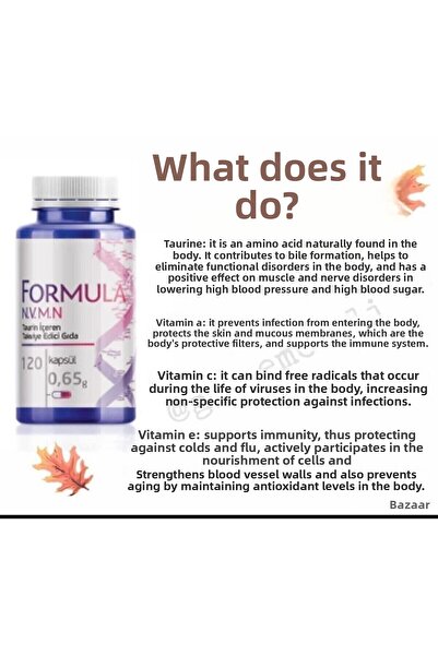 Siberian Wellness Siberian Wellnes Formula 4 N.V.M.N Food Supplement Tett: 26102025