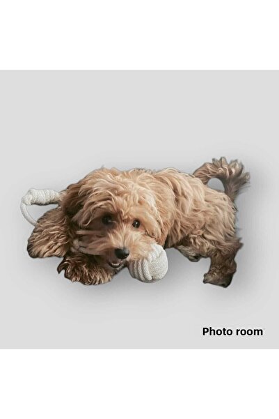 724 AVM Double Play Set Dog Dental Floss Biting Pull Toy 2 Pack Macrame Rope Large Size