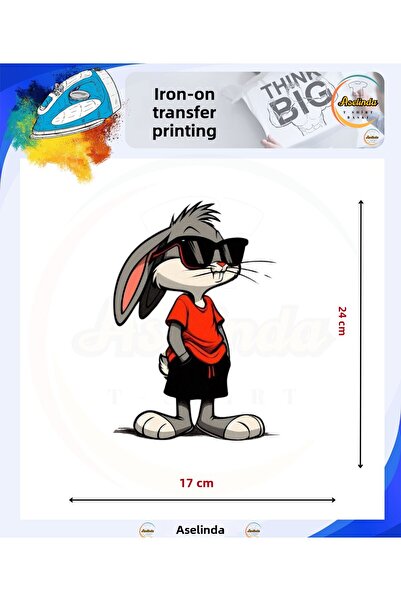 ASELİNDA باغز باني Dtf نقل الطباعة النسيجية الطباعة الجاهزة الطباعة نقل الحديد