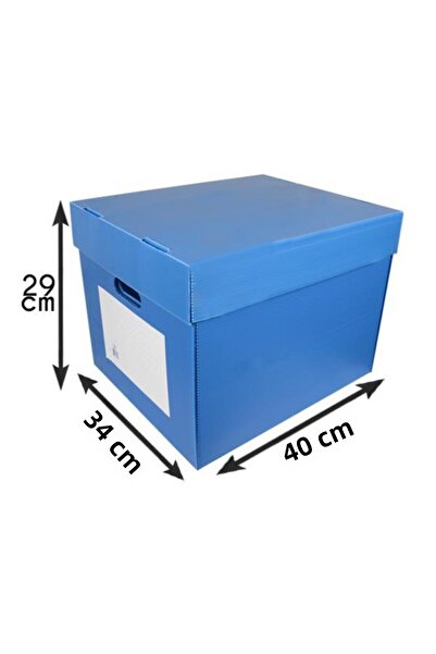 Temel Archive Box – Archive Collector - Transport Collector 15 Pieces