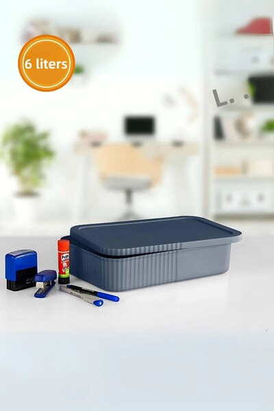 EVLE 6-Liter Multi-Purpose Storage and Organizing Box with Lid