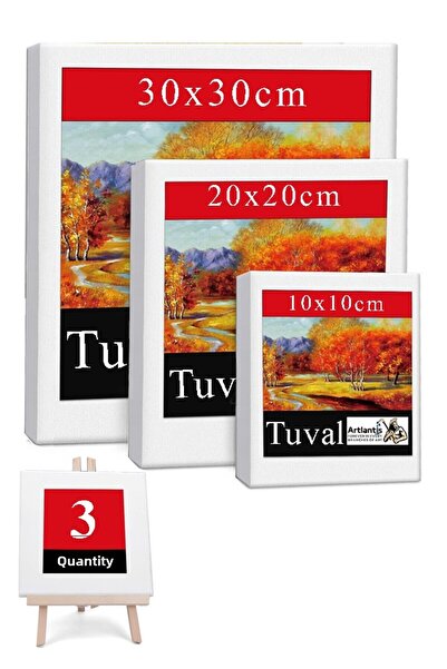 Artlantis Square Canvas 3Pcs 10X10 20X20 30X30Cm Blank Canvas Painting Staple...