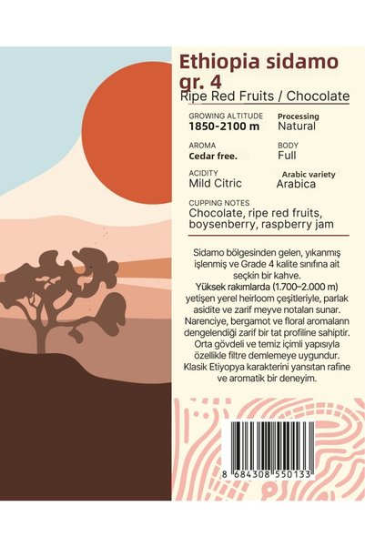 Mare Mosso Caffe ê Vendite Ethiopia Sidamo Gr.4 Regional Filter Coffee 250 Gr.