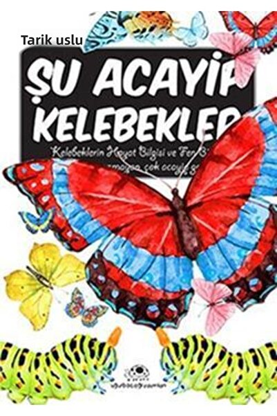 Uğurböceği Yayınları Shu Acayip Butterflies