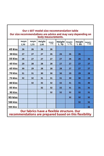 CEDY DENIM Women's Pipe Leg High Waist Regular Fit Lycra Trousers-C607-Grey