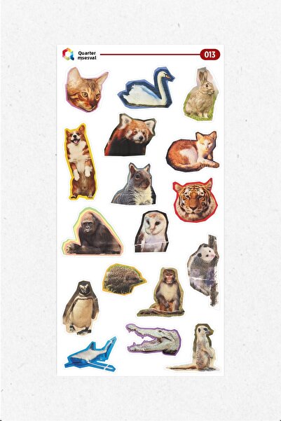 Quart Aksesuar مجموعة ملصقات ذات طابع عالم الحيوانات 013، ملصقات مفكرة، ملصقا...