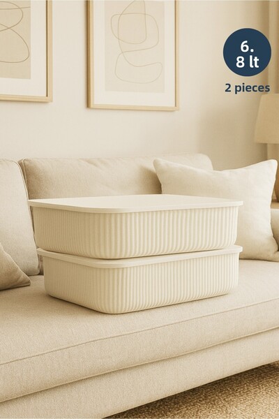 HOMİNG 6.8Lt Organizer Box Set of 2 Ecru Multi-Purpose