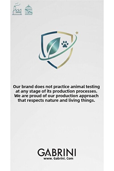 Gabrini Professional Hd Matte Porcelain Foundation - Matte Foundation No:2