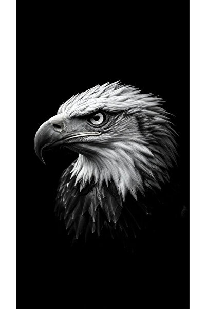 aydın garage Kartal Kapı Direk Kaplama Folyosu BASKILI STİCKER Sağ-Sol 2 Adet 22*50 CM