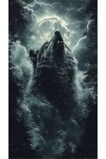 aydın garage Araba Kapı Direk Kaplama Folyosu kurt