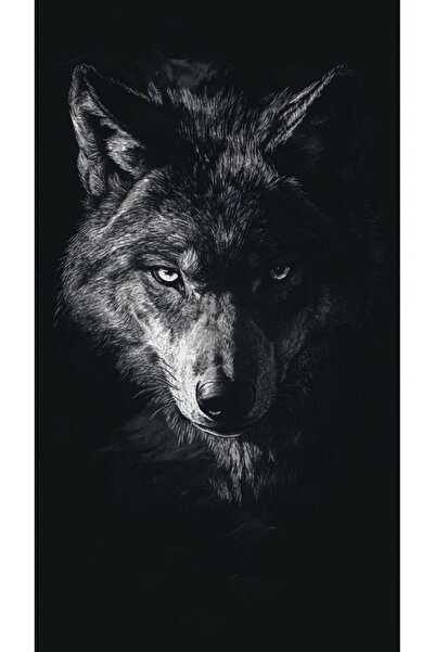 aydın garage Araba Kapı Direk Kaplama Folyosu kurt