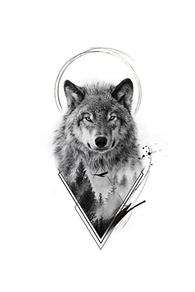 aydın garage Araba Kapı Direk Kaplama Folyosu kurt