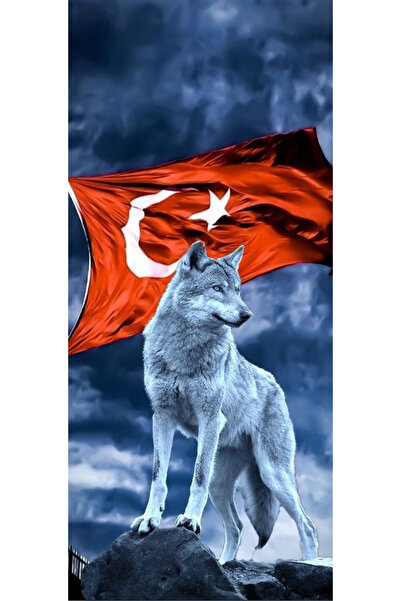 aydın garage Kurt ve Türk Bayrağı Kapı Direk Kaplama Folyosu BASKILI STİCKER ...