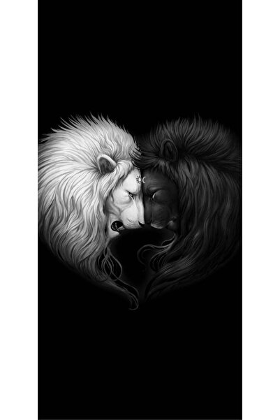 aydın garage Araba Kapı Direk Kaplama Folyosu Aslan