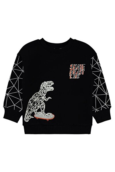 Civil Boys Dinazor Baskılı 2-5 Yaş Sweatshirt - Siyah4-5 Yaş